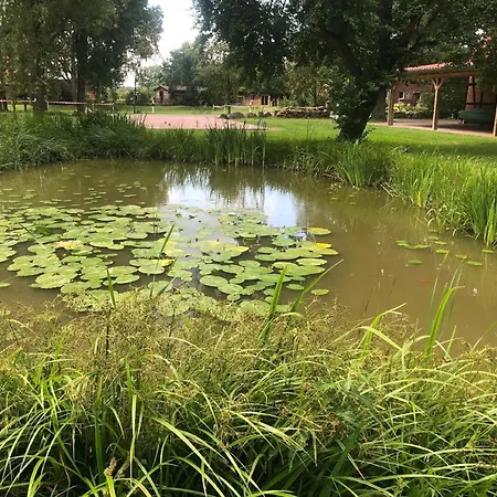 Wunderschoene In Gienau Mit Grosser Terrasse アパート *