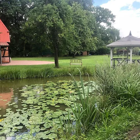 Wunderschoene In Gienau Mit Grosser Terrasse